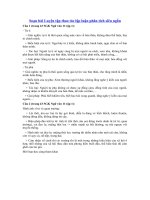 Tải Soạn bài Luyện tập thao tác lập luận phân tích siêu ngắn - Soạn văn 11 siêu ngắn