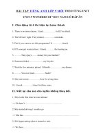 Tải Bài tập Unit 5 lớp 9 Wonders of Viet Nam - Tiếng Anh lớp 9 Unit 5 Wonders of Viet Nam| Bài tập Unit 5 SGK tiếng Anh 9 có đáp án