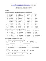Tải Bộ đề thi học kì 1 môn tiếng Anh lớp 6 có đáp án năm 2020 - 7 Đề kiểm tra tiếng Anh lớp 6 học kì 1 có đáp án