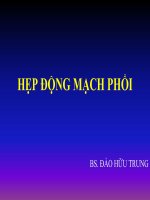 bstrung-hep dong mach phoi