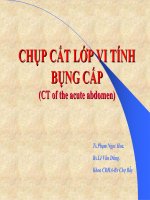 CT bung cap  
