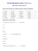 Tải Đề thi tiếng Anh lớp 6 học kì 1 năm 2020 - 2021 số 3 - Đề thi học kì 1 tiếng Anh lớp 6 có đáp án