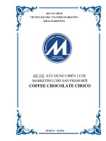 Xây Dựng Kế Hoạch Marketing - Mix cho Sản Phẩm Mới của Vinaca