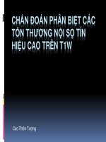 T1W+ +hyperintensity 