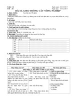Tải Giáo án Công nghệ 7 bài 16: Gieo trồng cây nông nghiệp - Giáo án điện tử Công nghệ 7