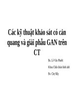 giaiphau-gan_BSPHUOC