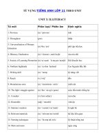 Tải Từ vựng Unit 5 lớp 11 Illiteracy - Tiếng Anh 11 Unit 5 Illiteracy| Từ vựng Unit 5 SGK tiếng Anh lớp 11 đầy đủ nhất