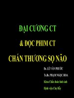 CT chanthuongsonao 