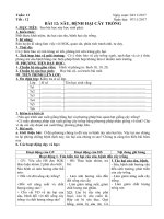 Tải Giáo án Công nghệ 7 bài 12: Sâu, bệnh hại cây trồng - Giáo án điện tử Công nghệ 7