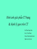 CT bung gan 