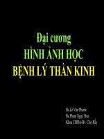 HinhanhBLthankinh