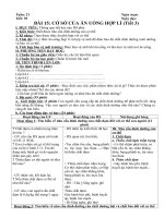 Tải Giáo án Công nghệ 6 bài 15: Cơ sở của ăn uống hợp lí (Tiết 3) - Giáo án điện tử môn Công nghệ lớp 6