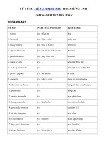Tải Từ vựng Unit 6 lớp 6 Our Tet Holiday - Tiếng Anh 6 Unit 6 Our Tet holiday| Từ vựng Unit 6 SGK tiếng Anh 6 mới