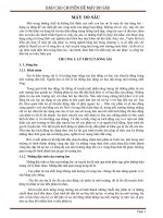 BÁO cáo CHUYÊN đề máy đo sâu