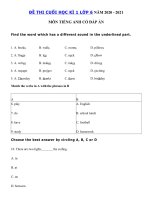 Tải Đề thi học kì 1 lớp 6 môn tiếng Anh năm 2020 - 2021 số 2 - Đề thi tiếng Anh lớp 6 học kì 1 có đáp án