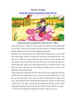 tập làm văn lớp 4 kể lại câu truyện trong bài thơ nàng tiên ốc