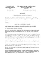 đoàn việt nam đoàn chủ tịch tổng liên đoàn lao động việt nam hướng dẫn thi hành điều lệ