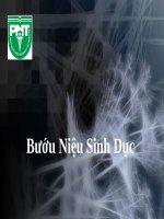 Buou nieu SD 