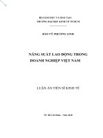 (Luận án tiến sĩ) năng suất lao động trong doanh nghiệp việt nam 