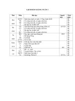 Tải Giáo án Trải nghiệm sáng tạo lớp 2 tuần 1 - Giáo án điện tử lớp 2