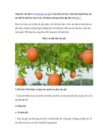 gốc cây gấc của nhà ông em rất to vì đã lâu lắm rồi thân gốc to bằng cái bắp cày rễ cây đâm tua tủa ra cà một vùng đốt xung quanh