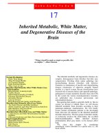 17 -Inherited Metabolic ,WHITE MATTER, and  DEGENERATIVEDISEASES of THE BRAIN