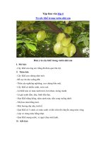 tập làm văn lớp 4 tả cây khế trong vườn nhà em