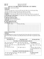 Tải Giáo án Công nghệ 7 bài 19: Các biện pháp chăm sóc cây trồng - Giáo án điện tử Công nghệ 7