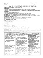 Tải Giáo án Công nghệ 6 bài 15: Cơ sở của ăn uống hợp lí (Tiết 2) - Giáo án điện tử môn Công nghệ lớp 6