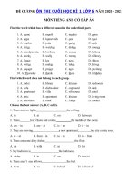 Tải Đề cương tiếng Anh lớp 6 học kì 1 năm 2020 - 2021 - Bài tập tiếng Anh học kì 1 lớp 6 có đáp án