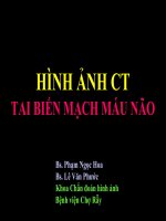 Taibienmachmaunao-BsHOA