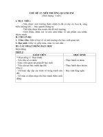 Tải Giáo án Mĩ thuật Đan Mạch lớp 2 bài 12: Môi trường quanh em - Tiết 2 - Giáo án điện tử Mỹ thuật lớp 2 theo phương pháp Đan Mạch