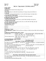 Tải Giáo án Công nghệ 6 bài 14: Thực hành: Cắm hoa (Tiết 2) - Giáo án điện tử môn Công nghệ lớp 6