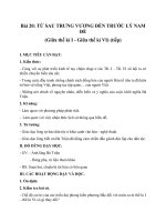 Tải Giáo án Lịch sử lớp 6 bài Từ sau Trưng Vương đến trước Lý Nam Đế (Từ giữa thế kỷ I đến giữa thế kỷ VI) (tiếp) - Giáo án điện tử môn Lịch sử lớp 6