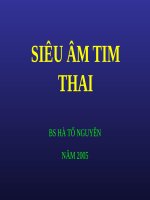 TIM THAI