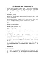 Tải Nguyên tố hóa học là gì? Nguyên tử khối là gì - Tìm hiểu về nguyên tố hóa học và nguyên tử khối