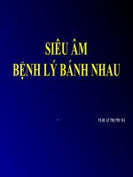 Sieuam banh nhau 28 12 2007