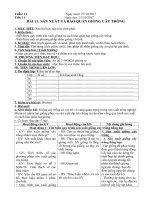 Tải Giáo án Công nghệ 7 bài 11: Sản xuất và bảo quản giống cây trồng - Giáo án điện tử Công nghệ 7