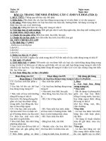 Tải Giáo án Công nghệ 6 bài 12: Trang trí nhà ở bằng cây cảnh và hoa (Tiết 2) - Giáo án điện tử môn Công nghệ lớp 6