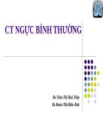 CT NGỰC BÌNH THƯỜNG