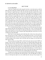 Sáng kiến kinh nghiệm, SKKN - Một số kinh nghiệm ôn thi môn Toán cho học sinh lớp 9 dự thi tuyển sinh vào 10 trung học phổ thông theo hướng đổi mới