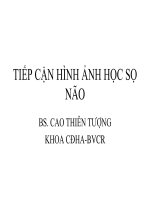 tiep can hah so nao 2011  BS  tuong 