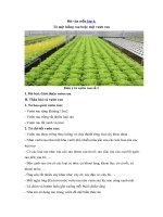 nhìn vườn rau như một khu vườn nhỏ nhiều màu sắc của các loài hoa của các