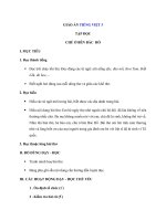 Tải Giáo án Tiếng Việt 3 tuần 20: Tập đọc - Chú ở bên Bác Hồ - Giáo án Tập đọc lớp 3