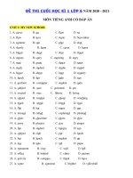 Tải Bài tập ngữ âm tiếng Anh lớp 6 học kì 1 năm 2020 - 2021 - Đề cương ôn thi học kì 1 lớp 6 môn Tiếng Anh có đáp án| Bài tập ngữ âm tiếng Anh 6 mới theo từng Unit