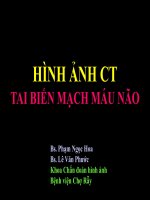 Taibienmachmaunao BsHOA 