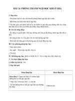 Tải Giáo án Tự nhiên xã hội 2 bài 14 - Giáo án điện tử Tự nhiên xã hội 2