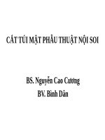 C t t·i m t n i soi 