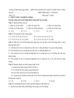 Tải Đề thi khảo sát chất lượng đầu năm môn Sinh học lớp 11 trường THPT Phan Ngọc Hiển, Cà Mau năm học 2015 - 2016 - Đề kiểm tra đầu năm môn Sinh lớp 11 có đáp án