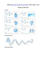 Tải Phiếu bài tập cuối tuần môn Tiếng Anh lớp 2 Tuần 20 - Bài tập cuối tuần tiếng Anh 2 có đáp án